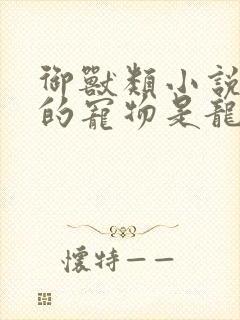 御兽类小说主角的宠物是龙