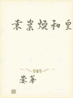 袁崇焕和皇太极