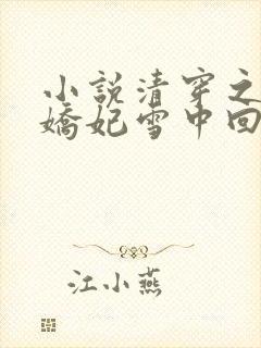 小说清穿之太子娇妃雪中回眸