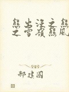 熊出没之熊出没之雪岭熊风