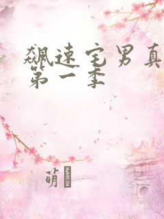 飙速宅男真人剧第一季