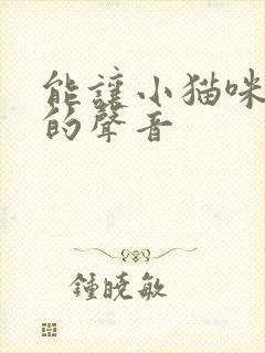 能让小猫咪过来的声音