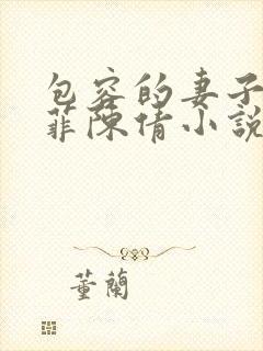 包容的妻子沈菲菲陈倩小说阅读