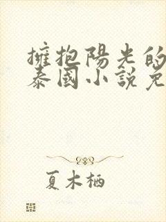 拥抱阳光的黑夜泰国小说免费阅读