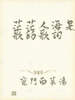 茫茫人海是哪首歌的歌词