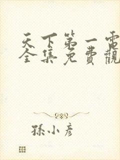 天下第一电视剧全集免费观看高清