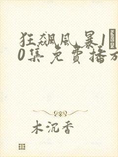 狂飙风暴1–80集免费播放