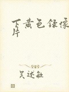 下黄色录像一级片