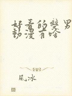 好看的双男主的动漫有啥