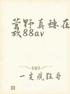 菅野真穗在线播放88av