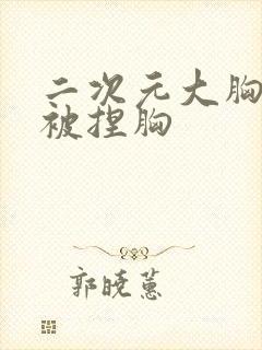 二次元大胸美女被捏胸