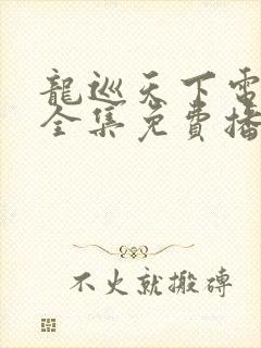 龙巡天下电视剧全集免费播放