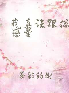 我真没跟总裁谈恋爱