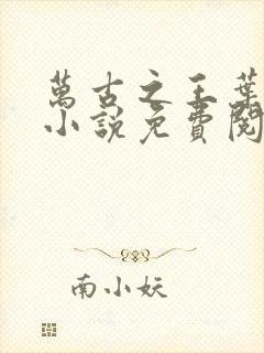 万古之王叶无双小说免费阅读