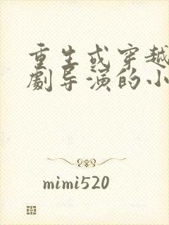 重生或穿越当编剧导演的小说