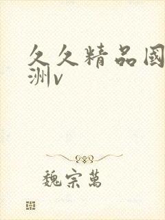 久久精品国产亚洲v