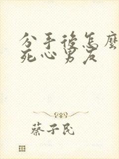 分手后怎么挽回死心男友