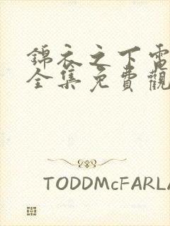 锦衣之下电视剧全集免费观看高清