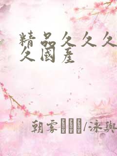 精品久久久久久久国产