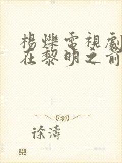 杨烁电视剧潜伏在黎明之前