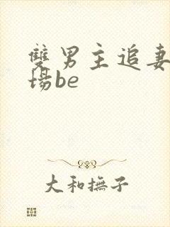 双男主追妻火葬场be