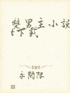 双男主小说txt下载