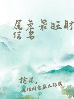 属兔最旺财的微信名