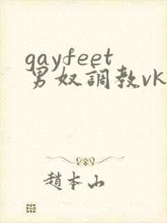 gayfeet男奴调教vk