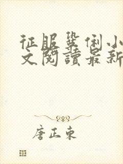 征服巩俐小说全文阅读最新章节