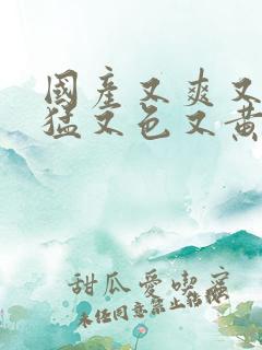 国产又爽又粗又猛又色又黄视频