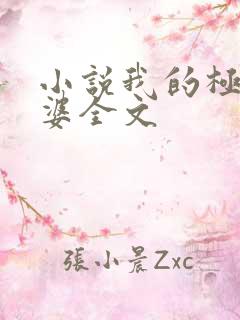 小说我的极品老婆全文