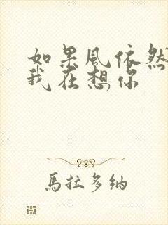 如果风依然知道我在想你