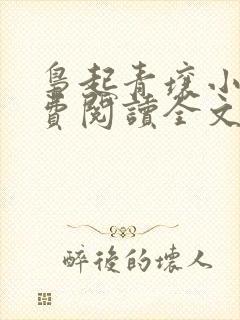 枭起青壤小说免费阅读全文无删减