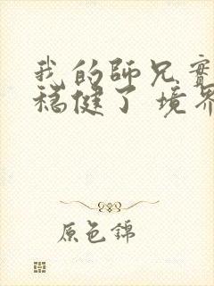 我的师兄实在太稳健了 境界划分