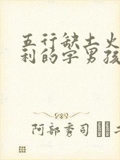 五行缺土火最吉利的字男孩