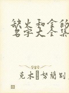 缺火和金的男孩名字大全集