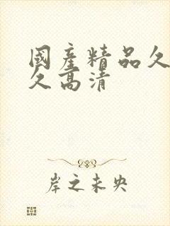 国产精品久久久久高清