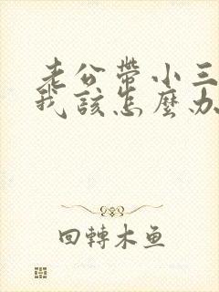 老公带小三回家我该怎么办