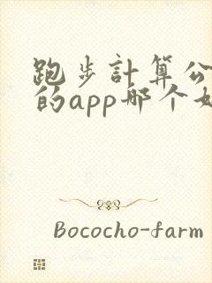 跑步计算公里数的app哪个好