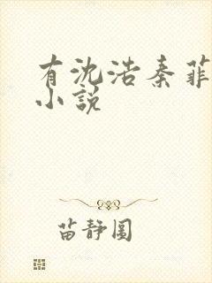 有沈浩秦菲雪的小说