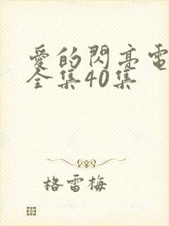 爱的闪亮电视剧全集40集