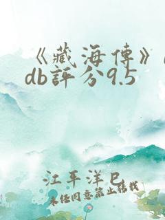 《藏海传》imdb评分9.5
