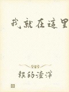 我就在这里日语