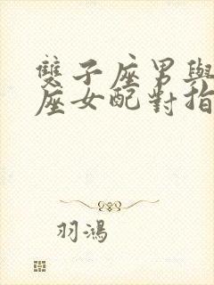 双子座男与狮子座女配对指数