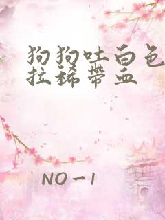 狗狗吐白色粘液拉稀带血