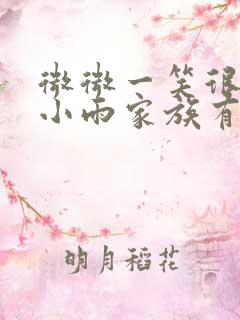 微微一笑很倾城小雨家族有谁