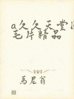 a久久天堂国产毛片精品