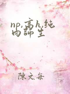 np,高h,纯肉师生
