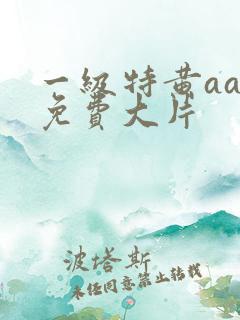 一级特黄aaa免费大片