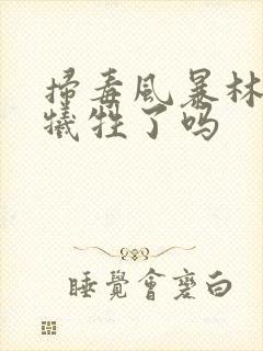 扫毒风暴林强峰牺牲了吗